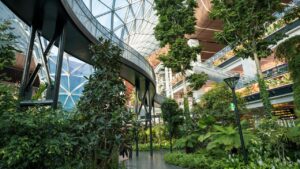 Geriausios vietos pavalgyti Dohos Hamado tarptautiniame oro uoste