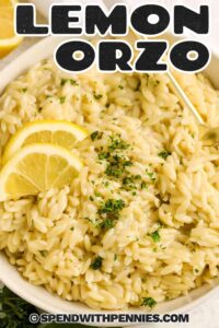 Citrina Orzo